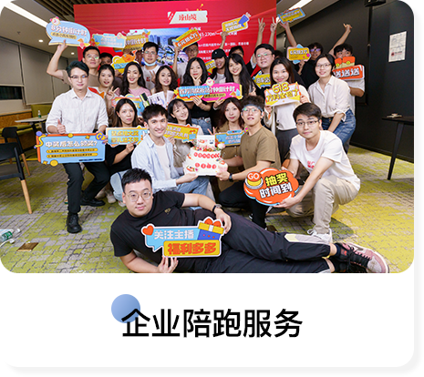企业诊断咨询