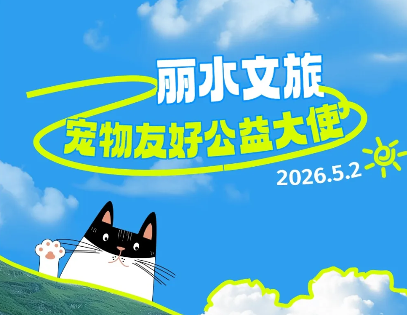 助力生命守护,无忧达人宋一帆受聘“丽水文旅宠物友好公益大使”